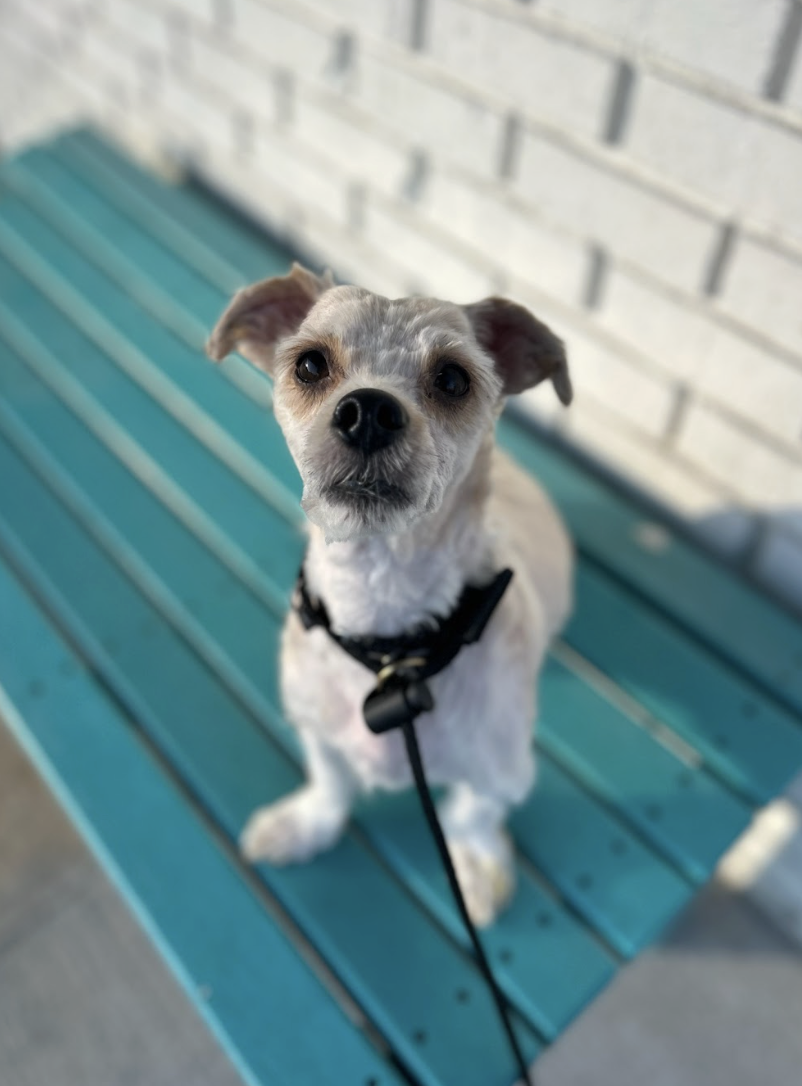 Screenshot 2026-03-14 at 4.55.51 PM.png