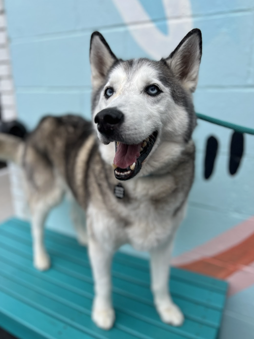 Screenshot 2026-03-11 at 6.45.40 PM.png