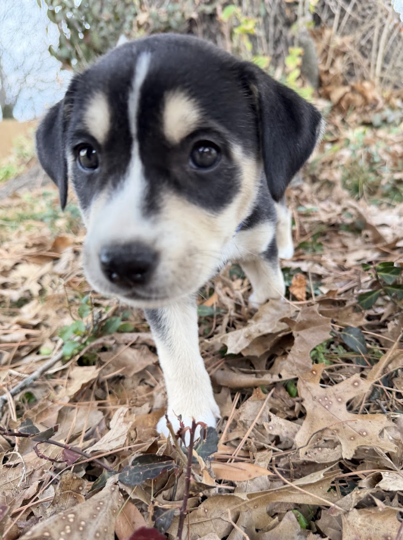 Screenshot 2026-01-15 at 7.47.41 PM.png