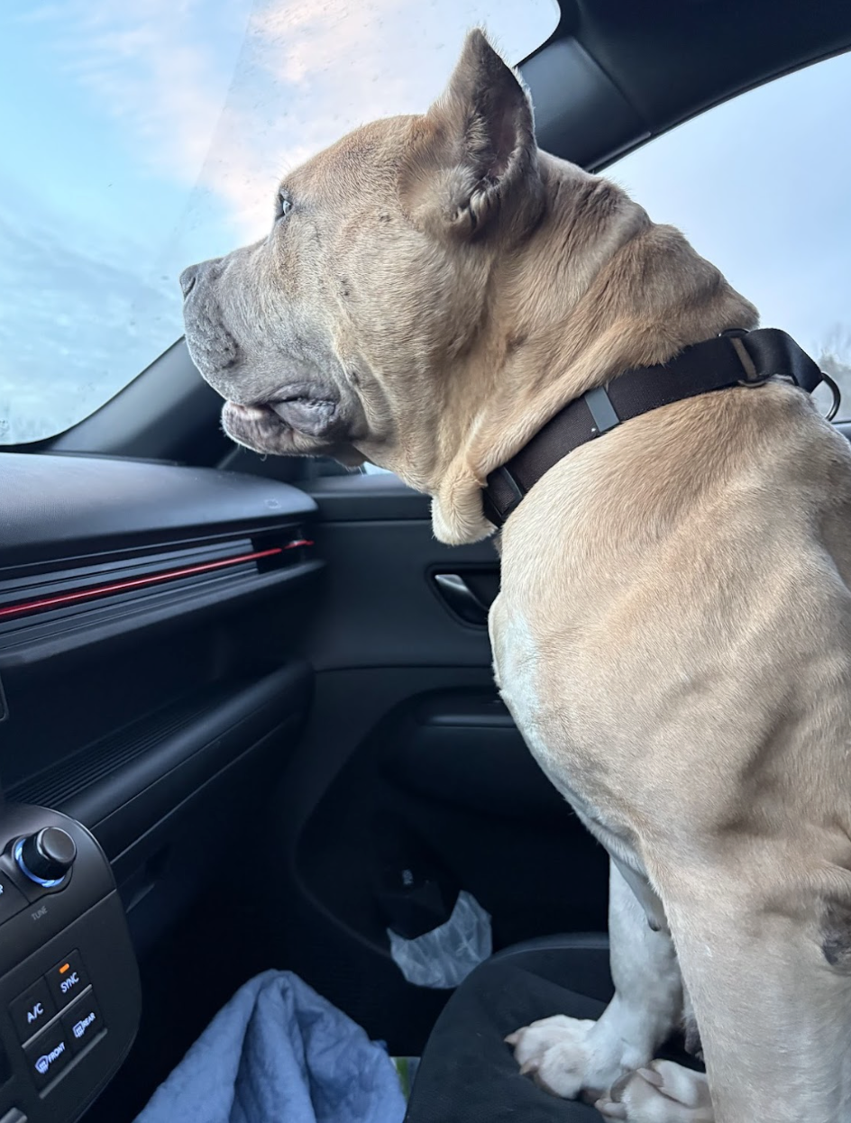 Screenshot 2026-02-07 at 8.12.34 AM.png