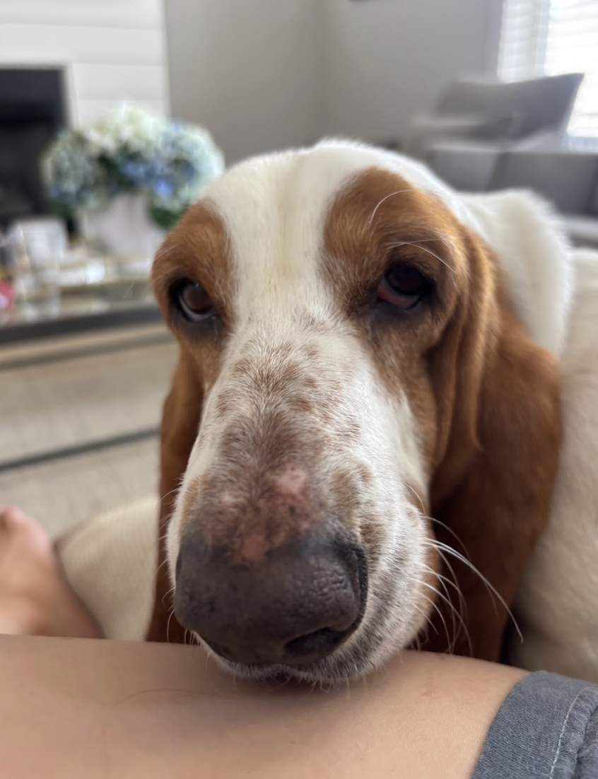 Screenshot 2026-04-13 at 3.21.49 PM.png