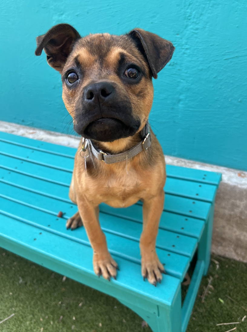 Screenshot 2026-03-26 at 2.55.41 PM.png