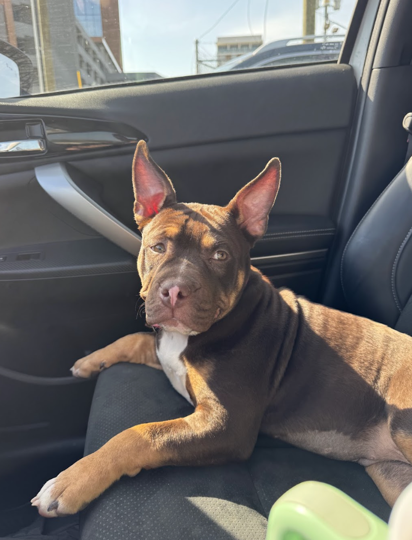 Screenshot 2026-03-24 at 12.17.36 PM.png