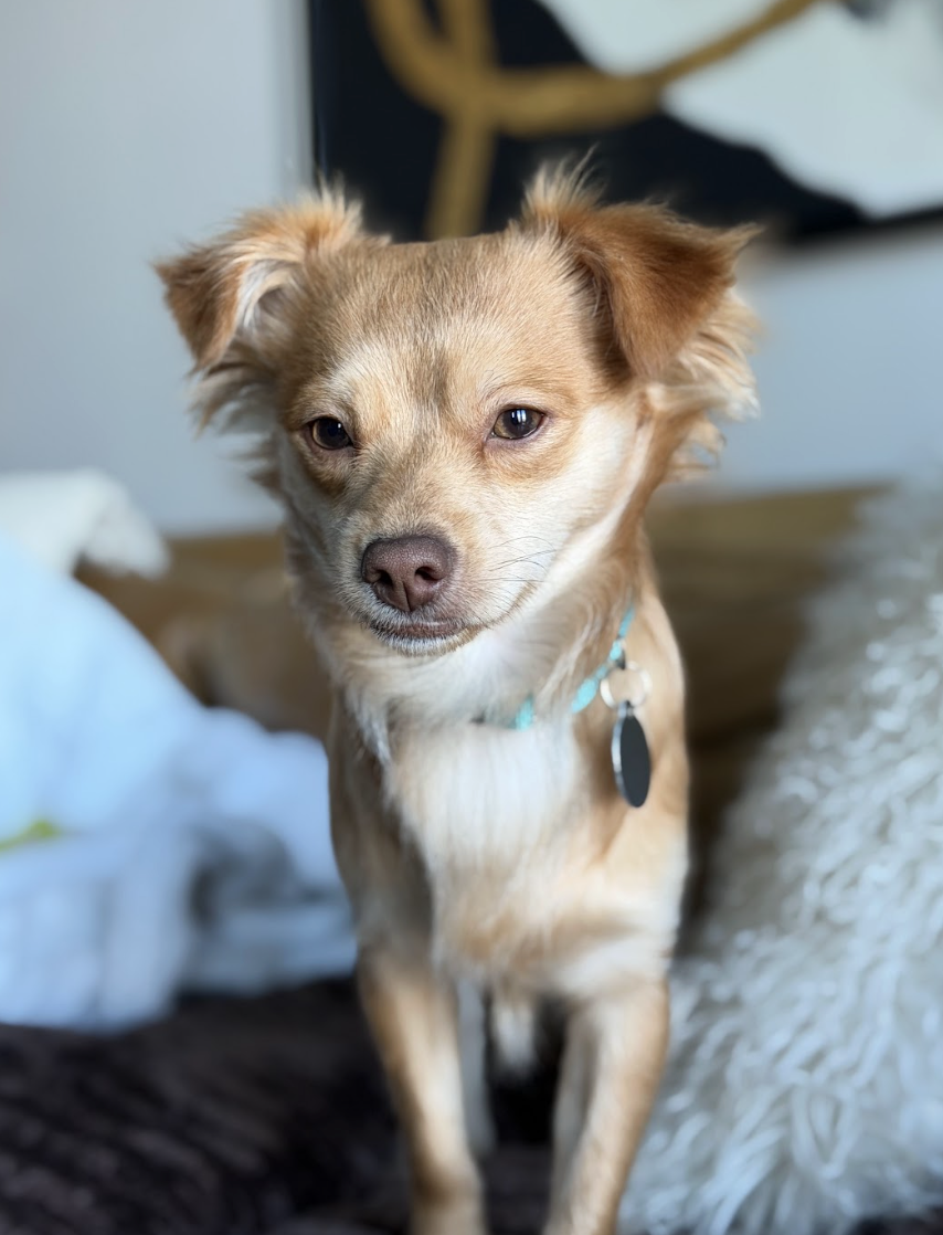 Screenshot 2026-03-21 at 2.13.53 PM.png