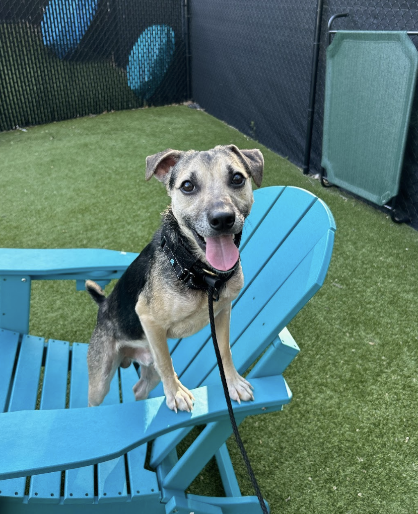 Screenshot 2026-04-16 at 7.16.36 PM.png