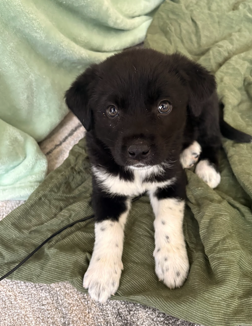 Screenshot 2026-04-13 at 2.39.49 PM.png