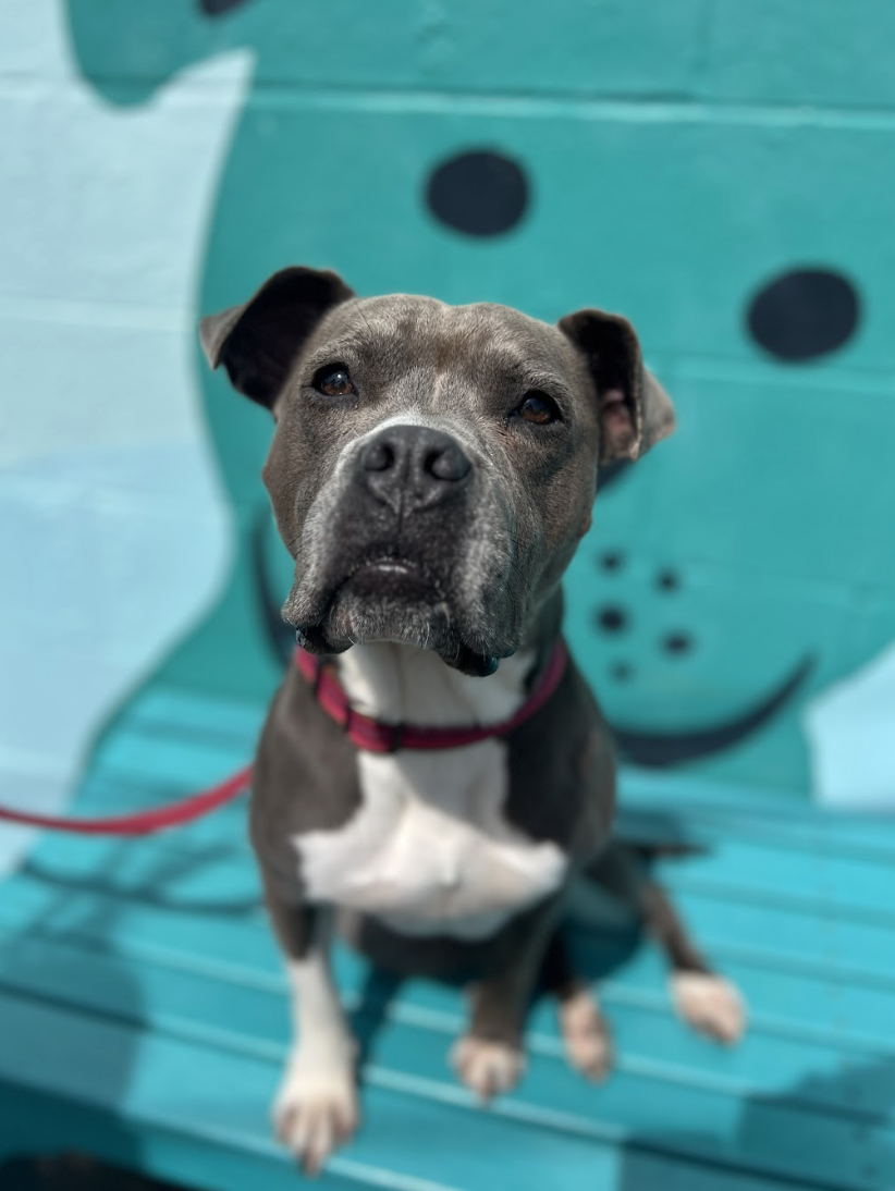 Screenshot 2026-04-22 at 5.47.52 PM.png