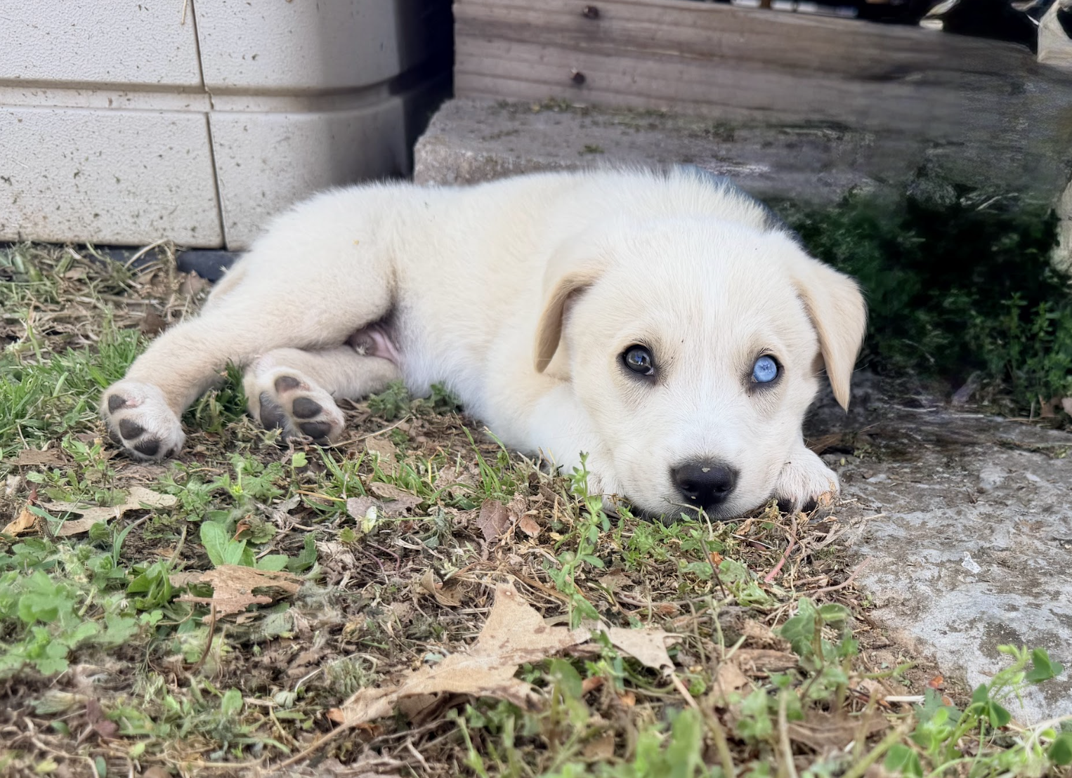 Screenshot 2026-04-16 at 4.49.32 PM.png