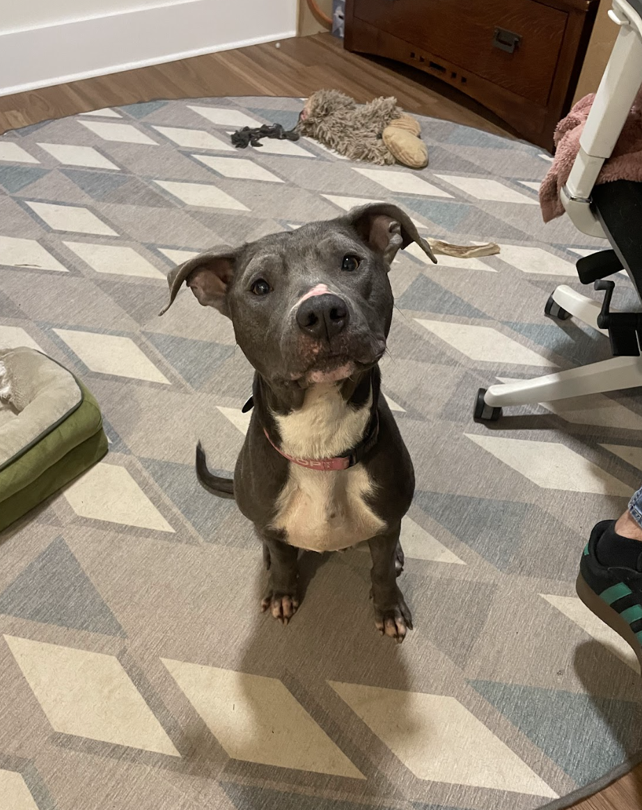 Screenshot 2026-03-26 at 7.28.59 PM.png