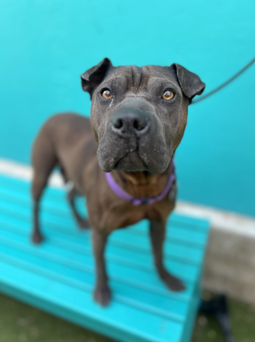 Screenshot 2026-03-26 at 3.24.30 PM.png