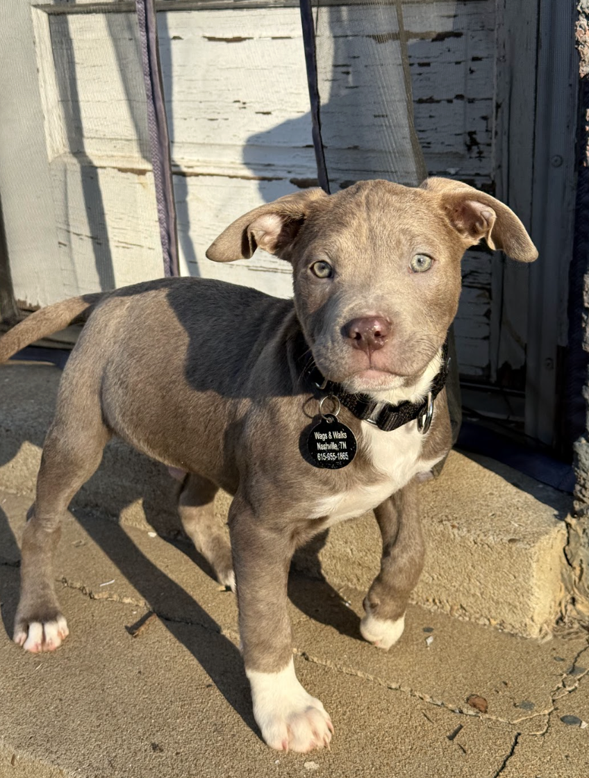 Screenshot 2026-02-20 at 3.56.47 PM.png