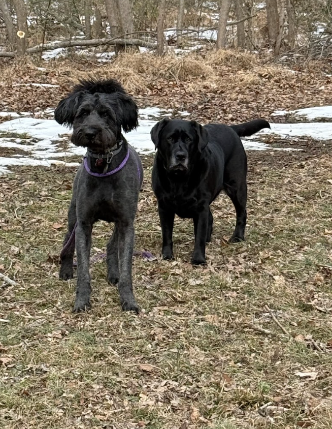 Screenshot 2026-02-07 at 7.41.01 AM.png