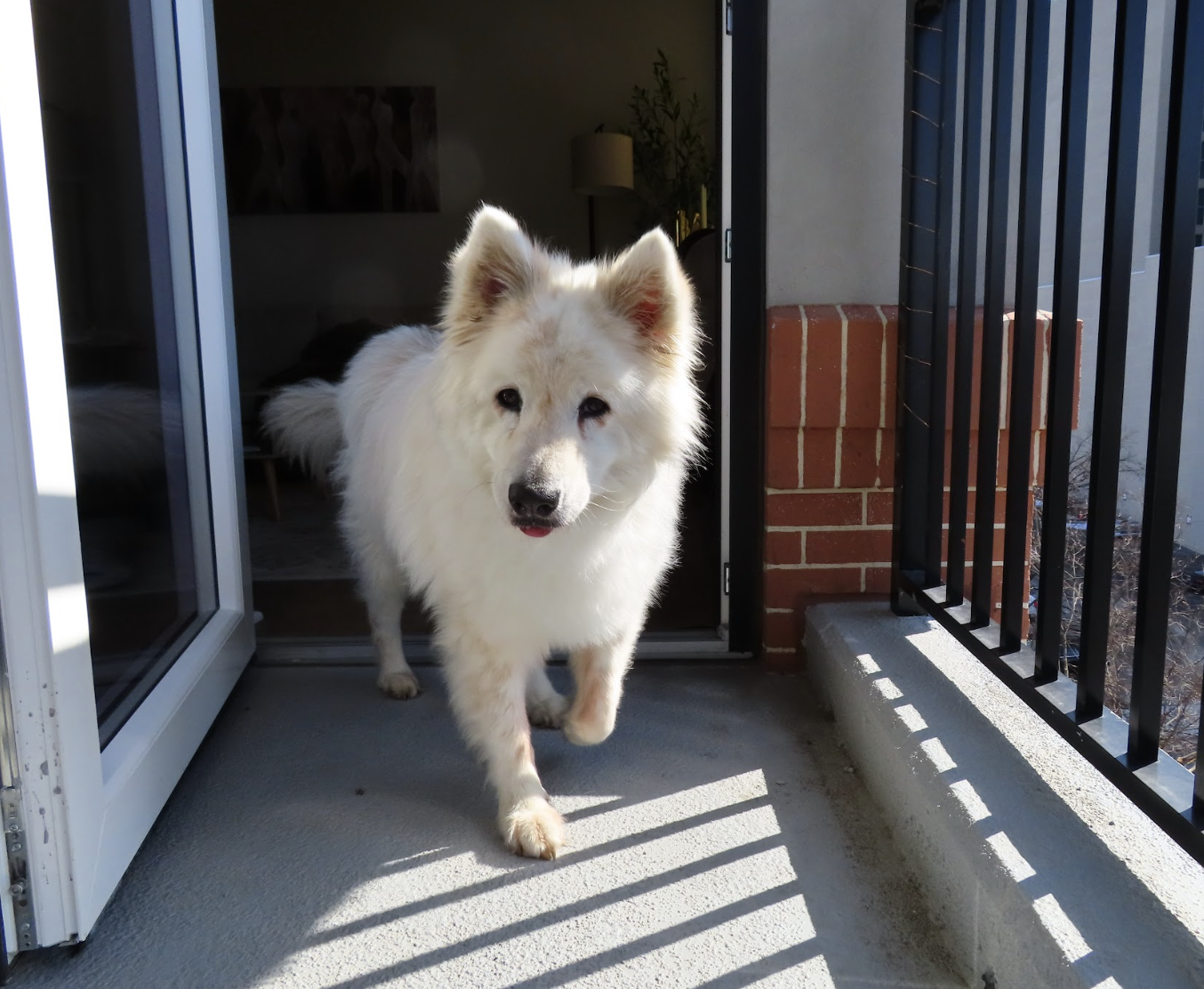 Screenshot 2026-03-24 at 12.29.01 PM.png