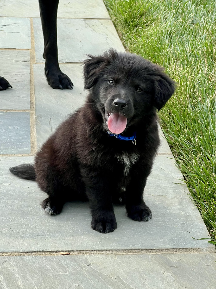 Screenshot 2026-04-16 at 5.00.33 PM.png