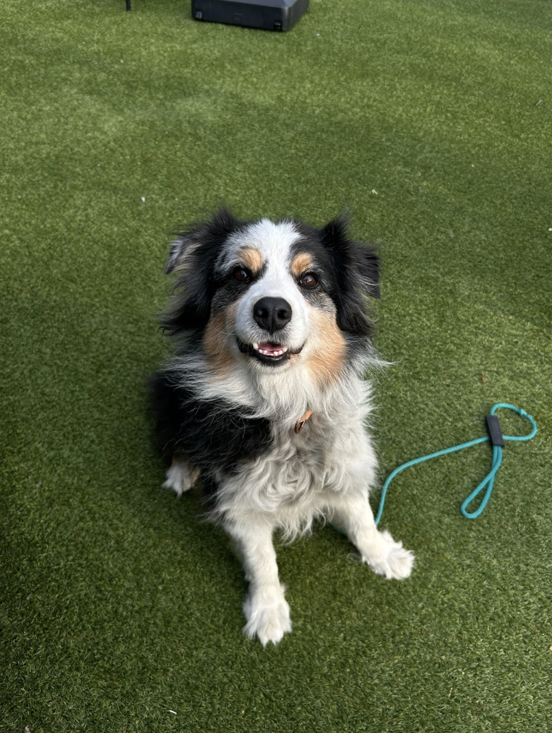 Screenshot 2026-03-05 at 2.25.56 PM.png