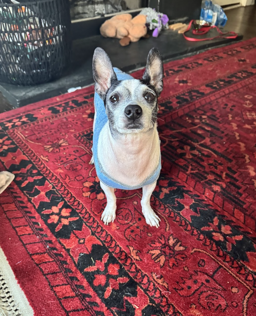 Screenshot 2026-04-22 at 4.12.40 PM.png