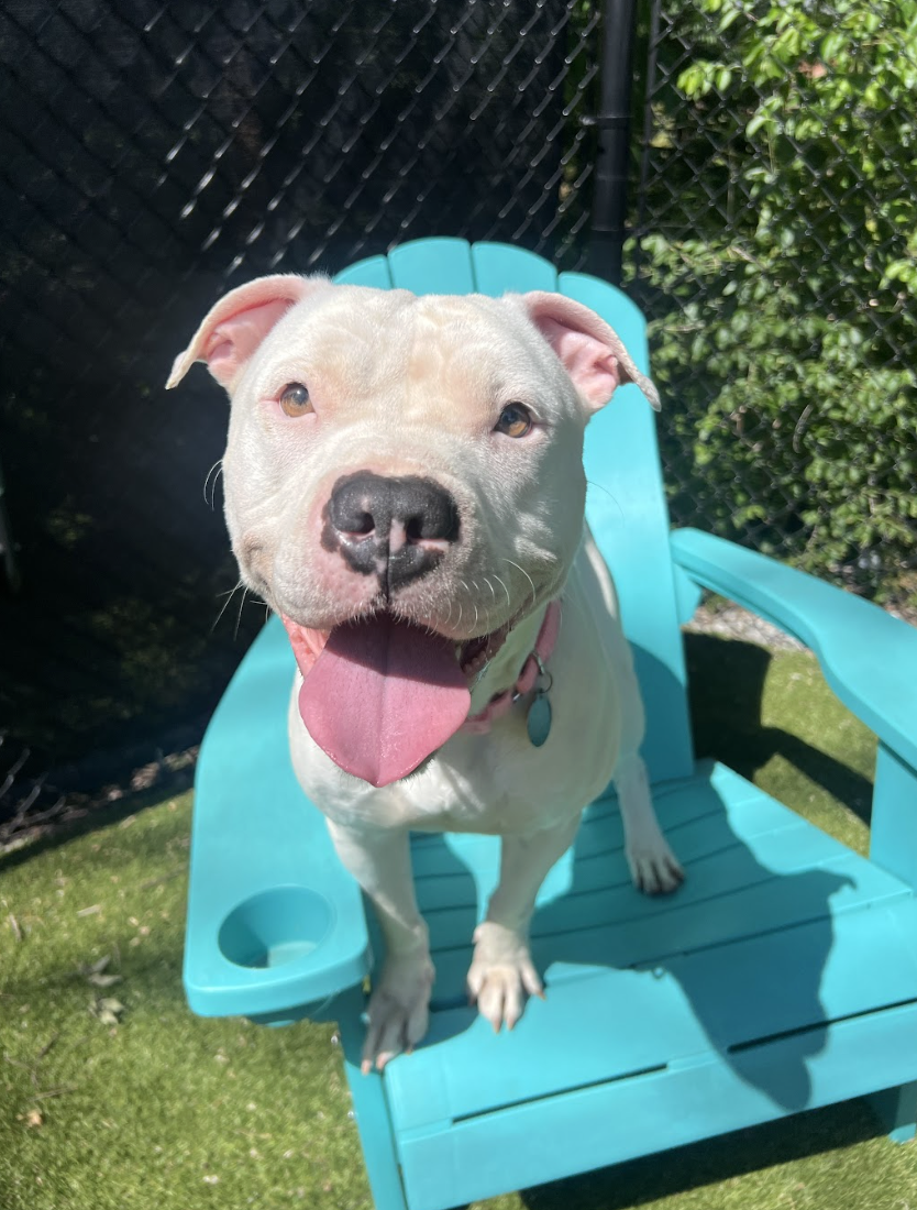 Screenshot 2026-04-23 at 1.37.54 PM.png