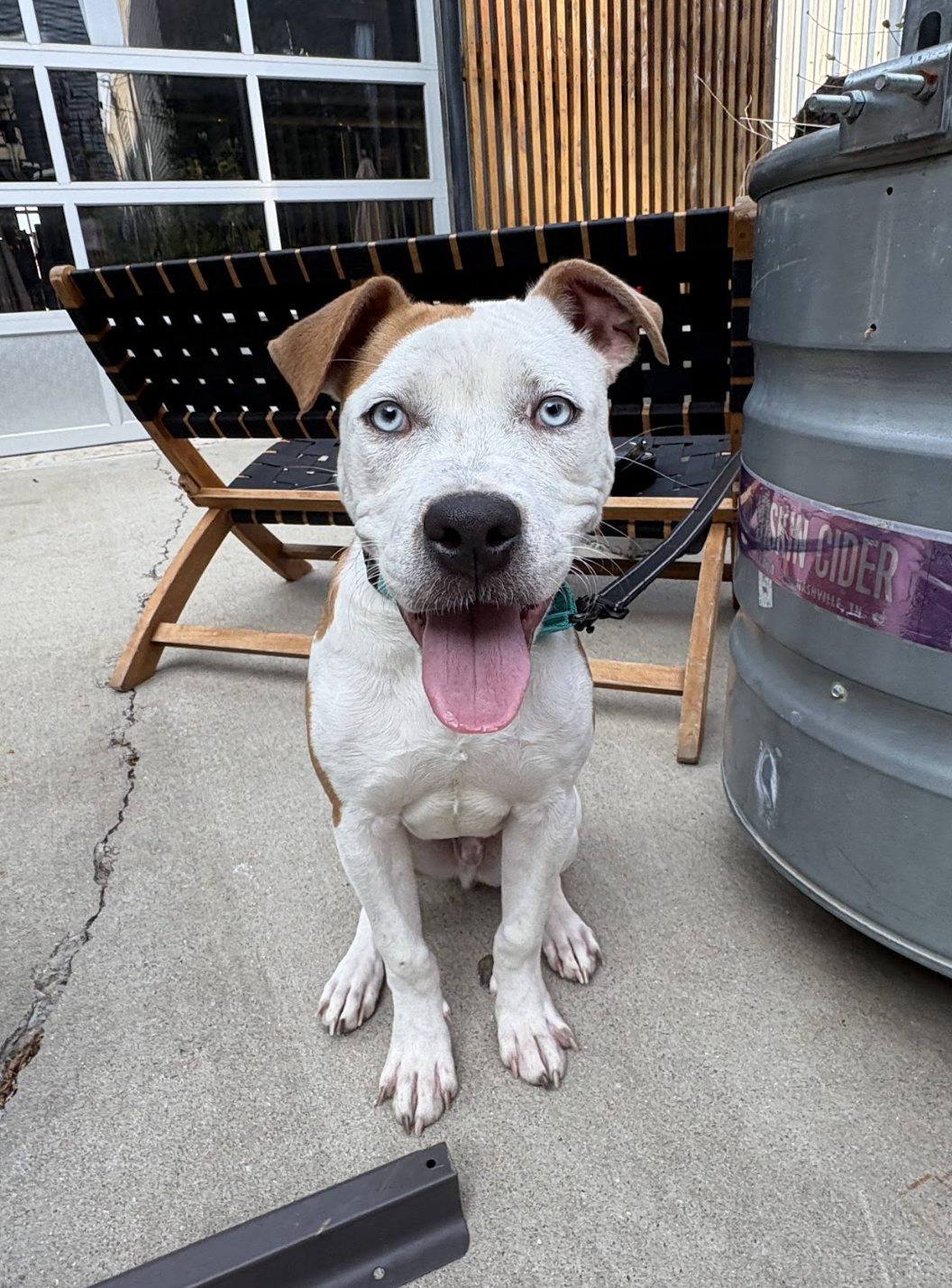 Screenshot 2025-10-16 at 5.01.43 PM.png