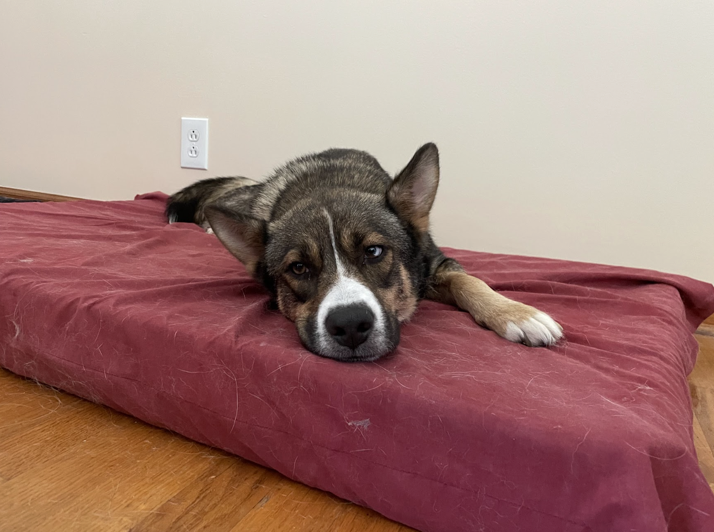 Screenshot 2026-04-22 at 5.29.38 PM.png