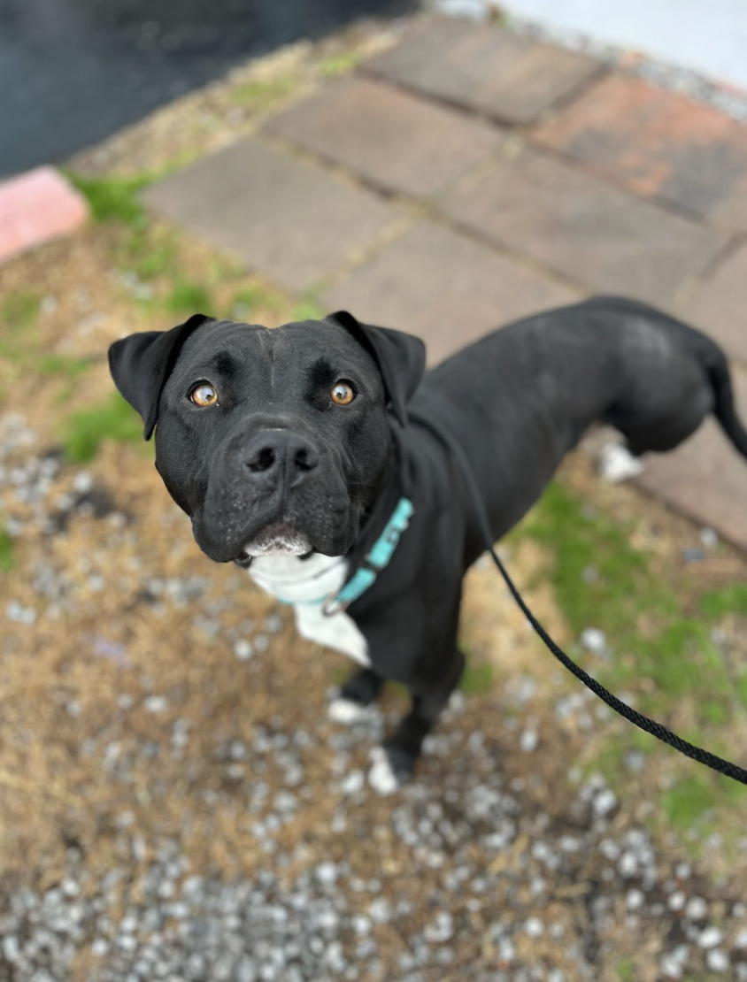 Screenshot 2026-01-14 at 3.42.46 PM.png