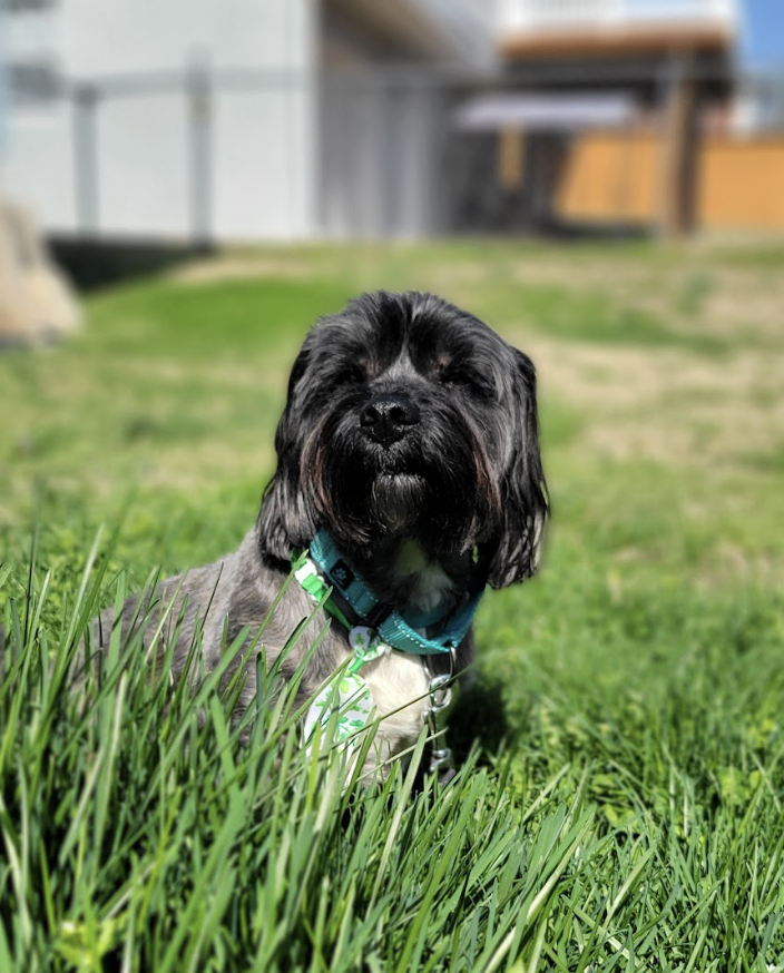 Screenshot 2026-03-17 at 5.05.13 PM.png