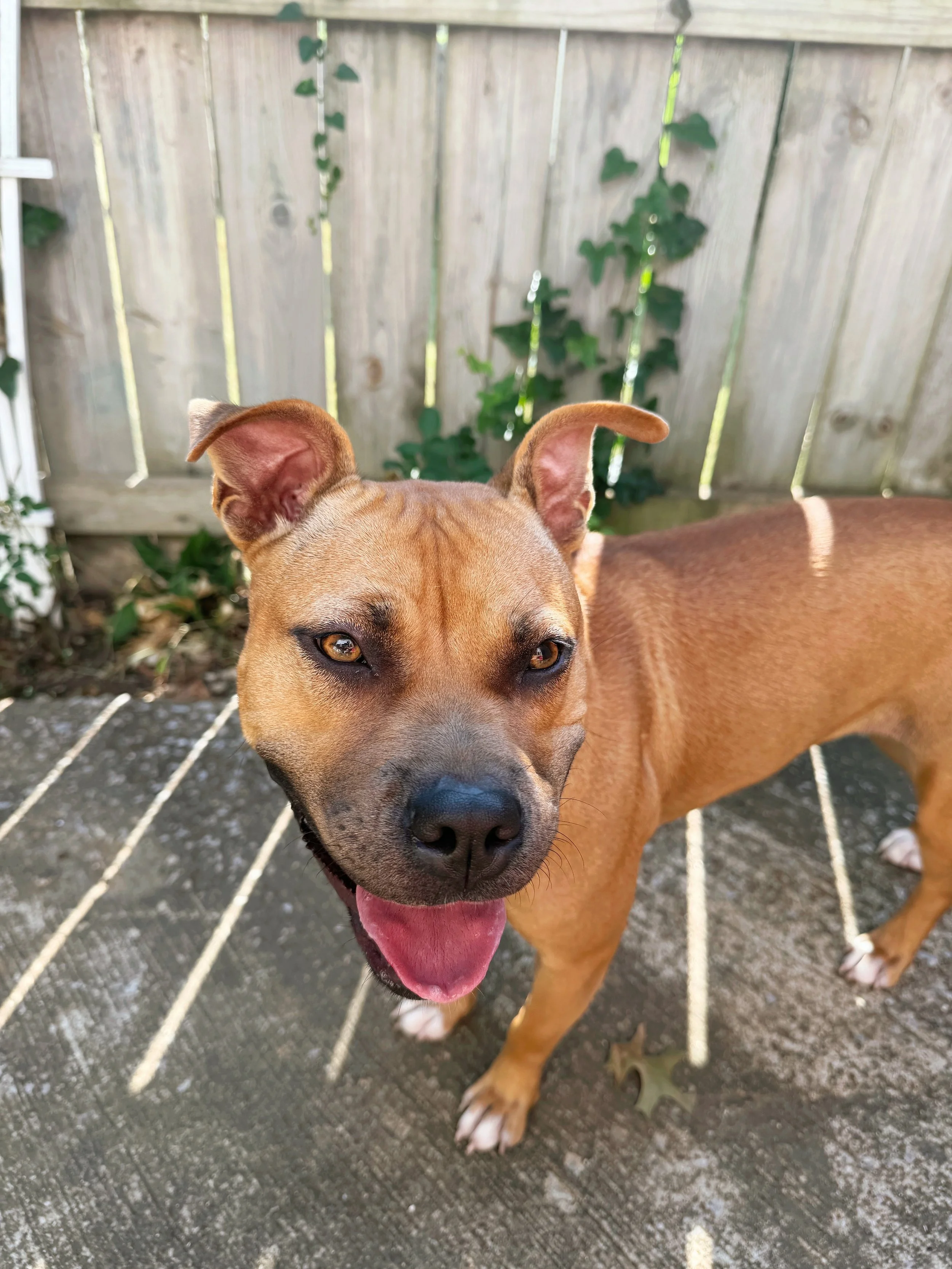 ACS_13659.JPG