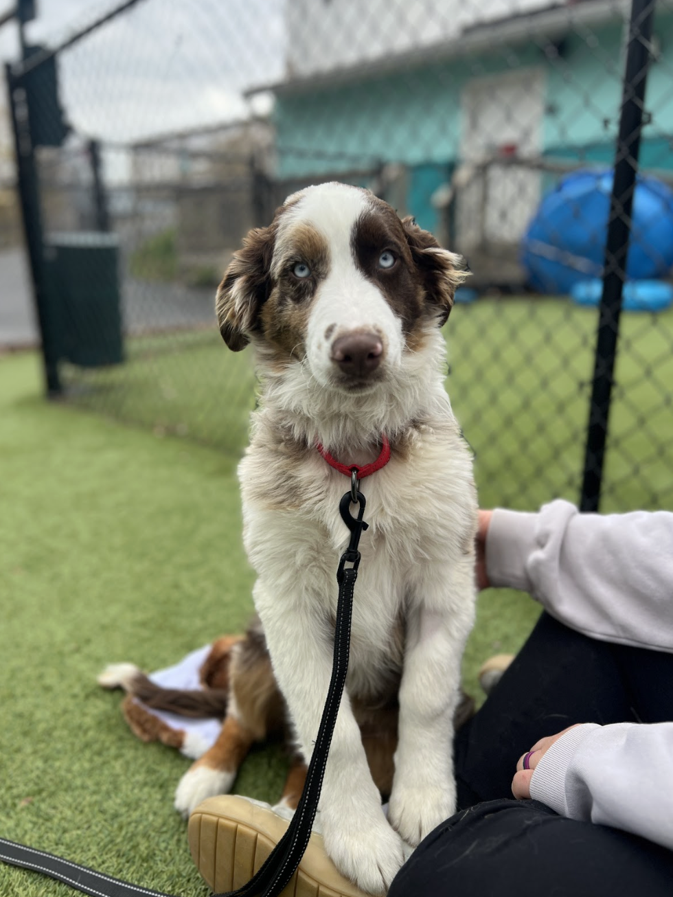 Screenshot 2025-12-16 at 1.37.42 PM.png