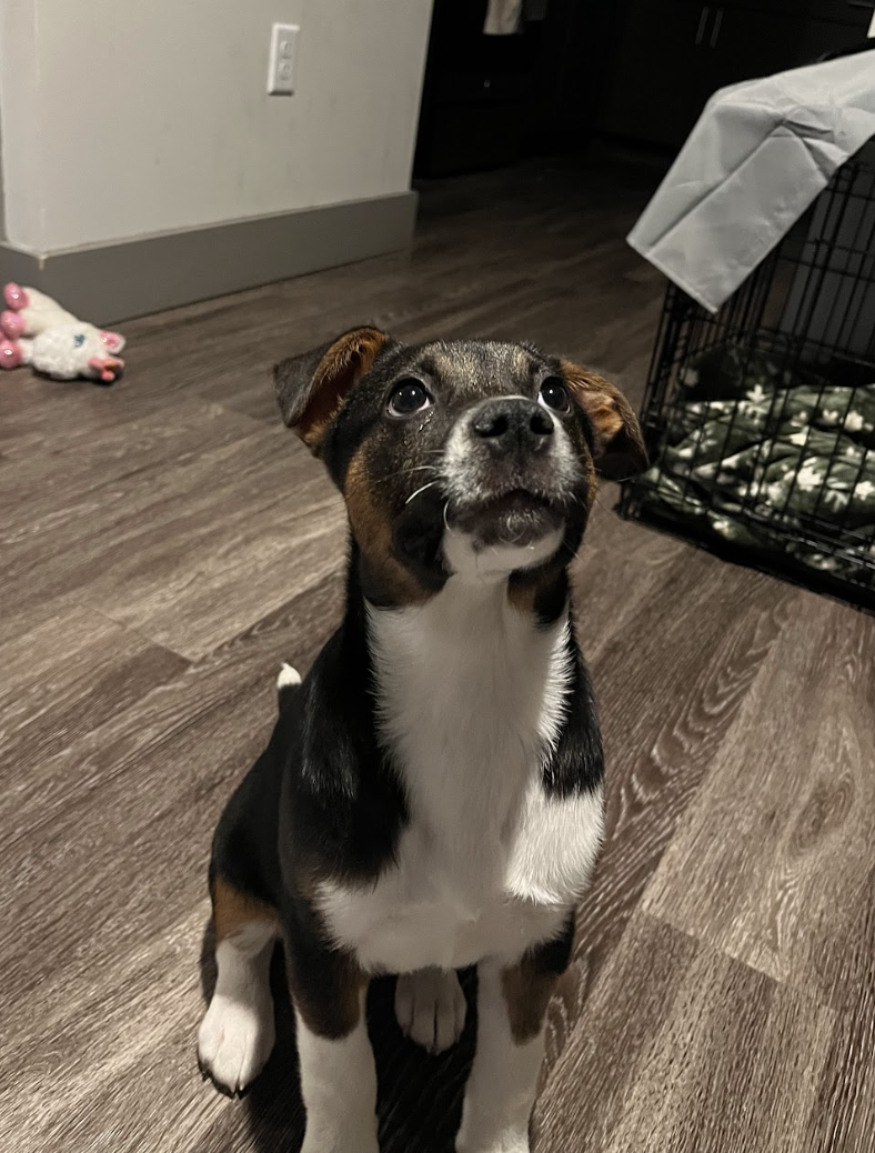 Screenshot 2026-02-27 at 12.53.14 PM.png