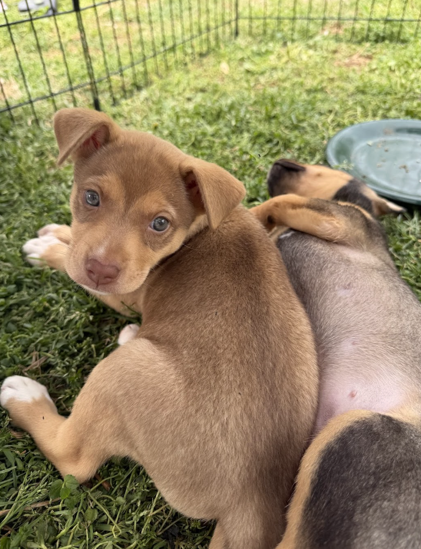 Screenshot 2026-04-07 at 5.11.09 PM.png