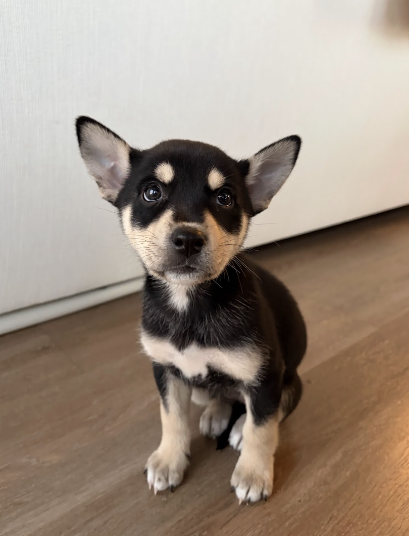 Screenshot 2026-01-15 at 7.46.40 PM.png