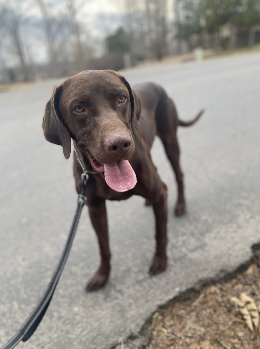 Screenshot 2026-03-10 at 9.25.48 PM.png