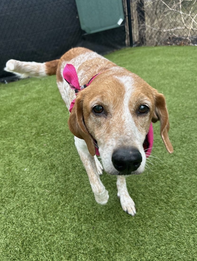 Screenshot 2026-03-11 at 8.37.12 PM.png