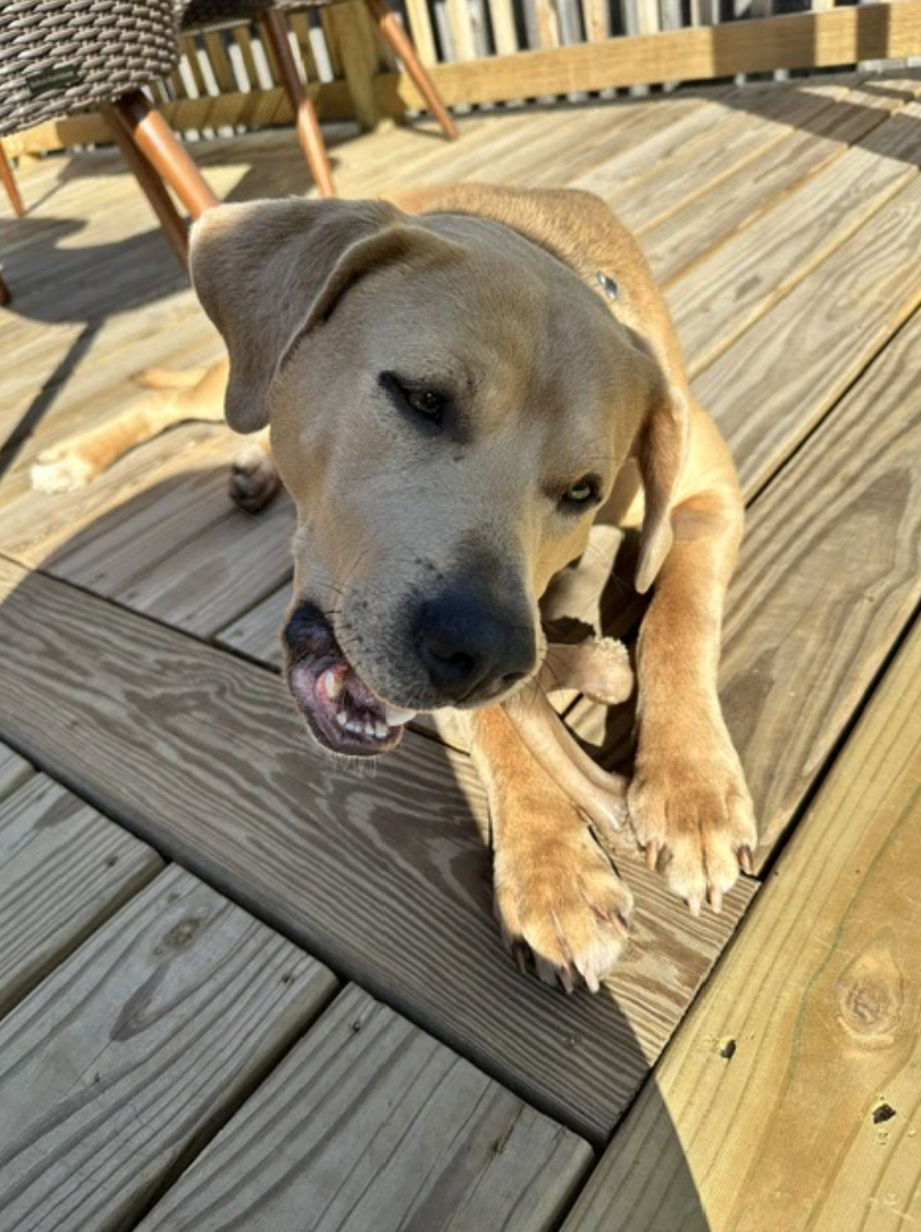 Screenshot 2026-04-22 at 5.19.44 PM.png