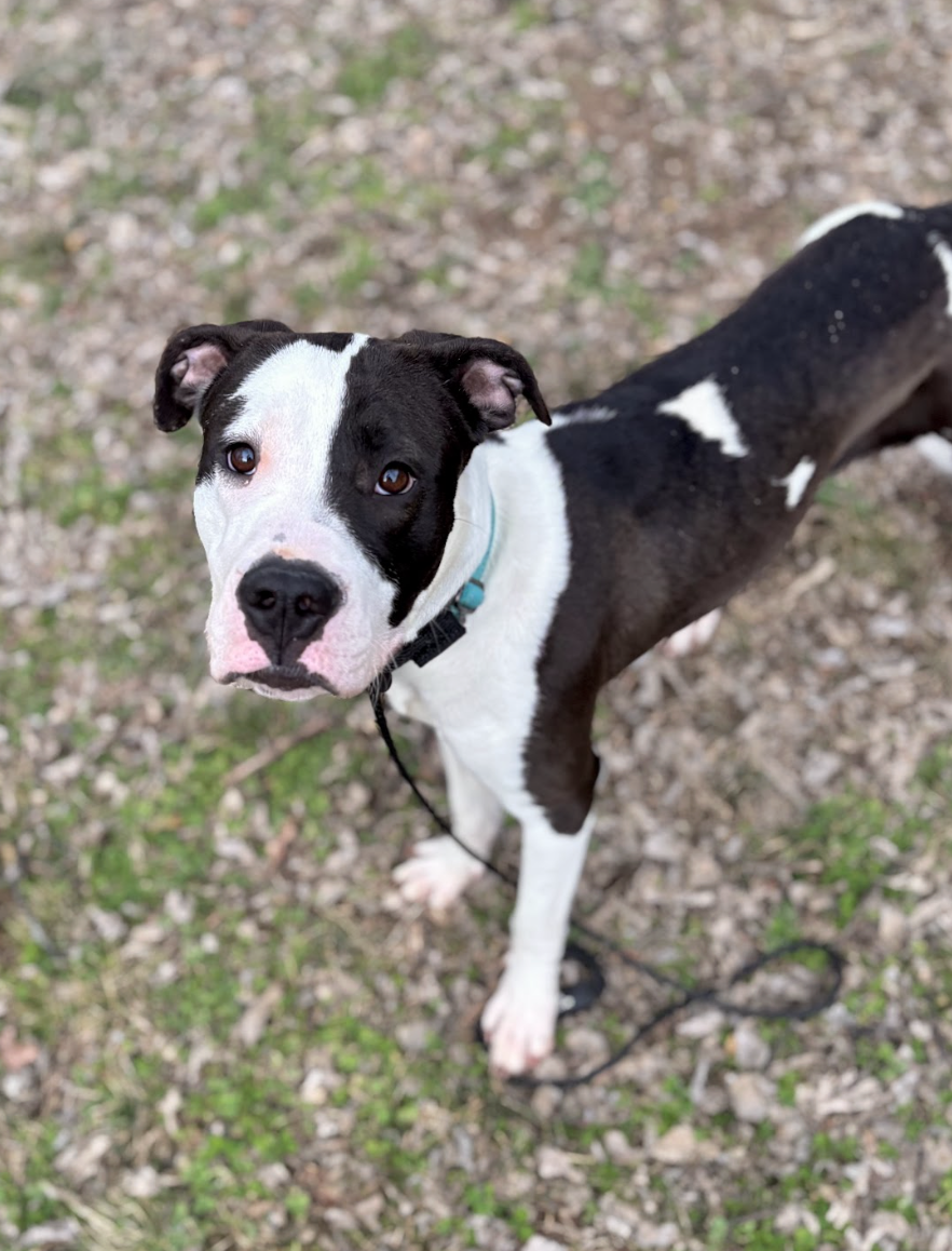 Screenshot 2026-04-21 at 5.31.26 PM.png