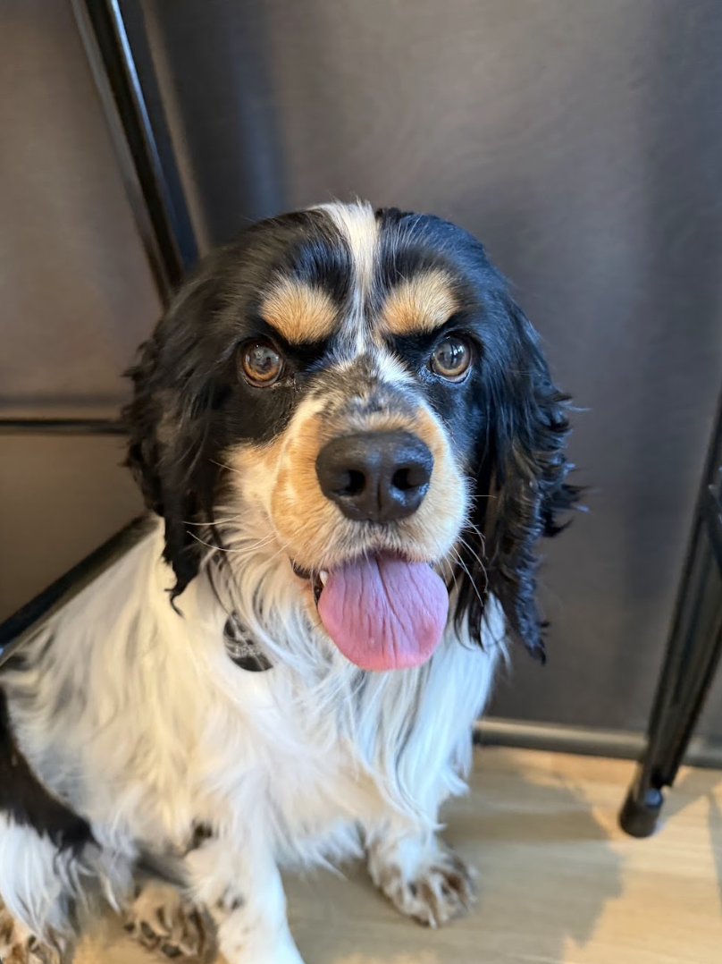 Screenshot 2026-03-21 at 2.26.57 PM.png