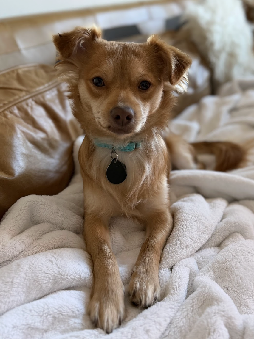 Screenshot 2026-03-21 at 2.13.30 PM.png