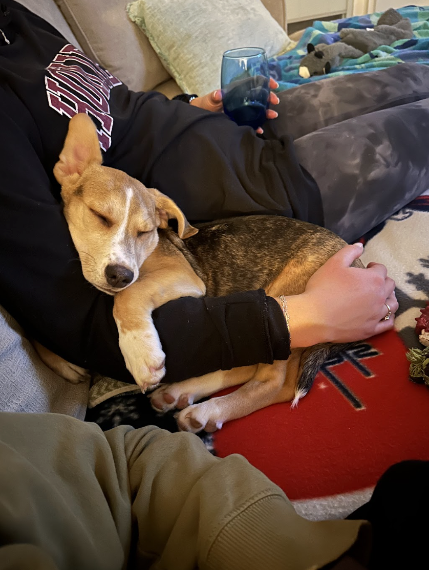 Screenshot 2026-02-20 at 4.21.46 PM.png