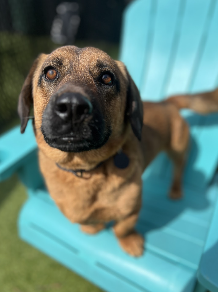 Screenshot 2026-03-14 at 5.47.19 PM.png