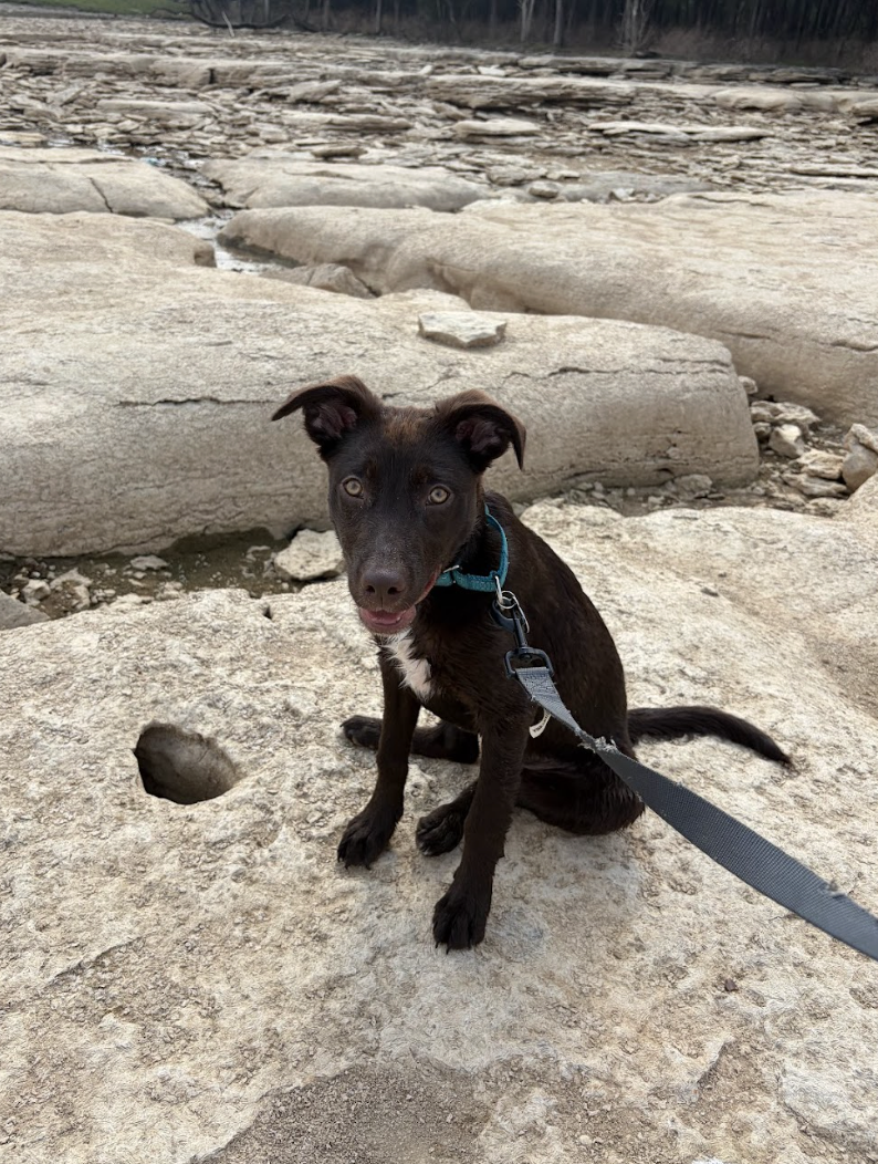 Screenshot 2026-04-03 at 1.38.04 PM.png