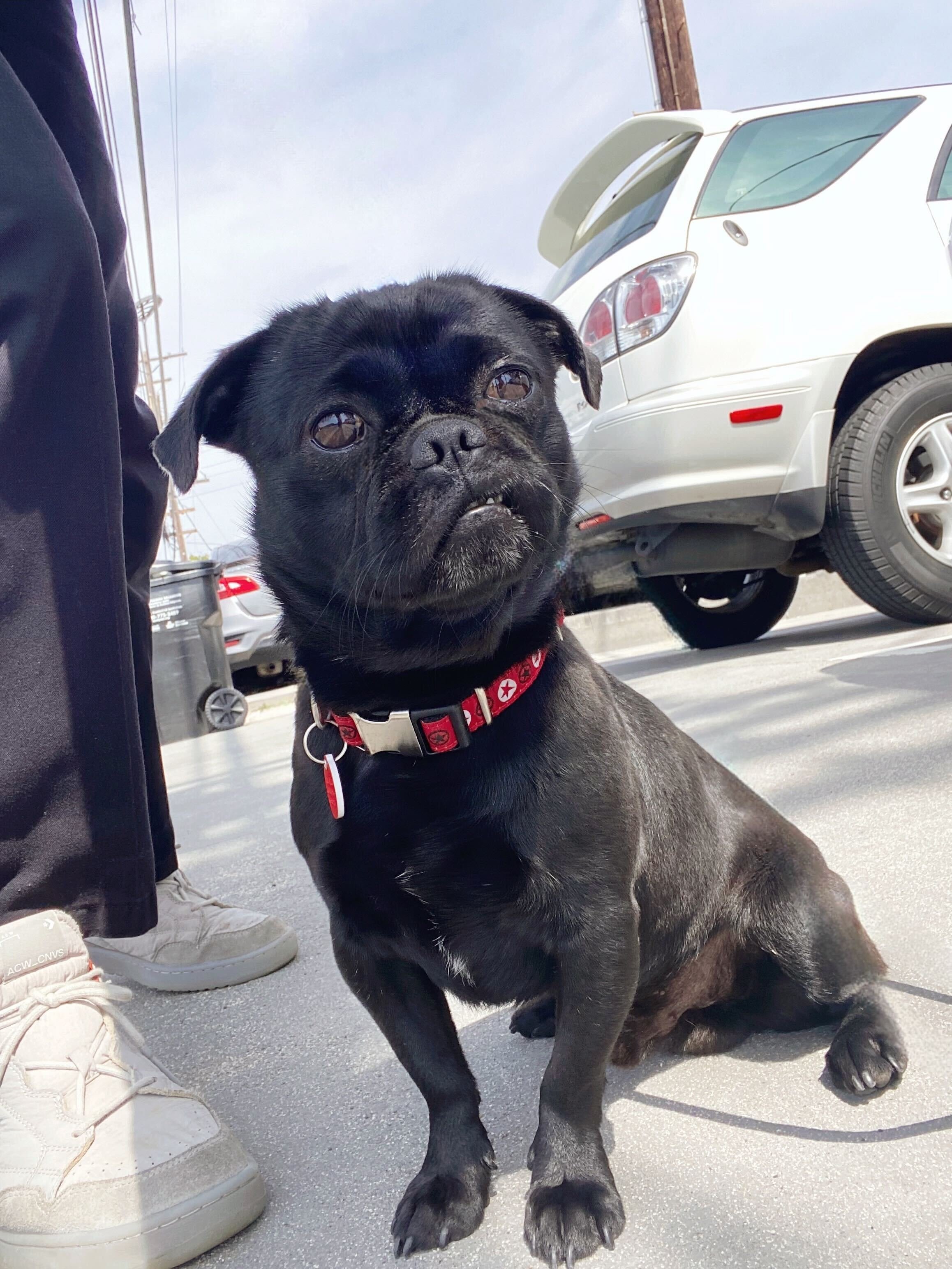 Tux