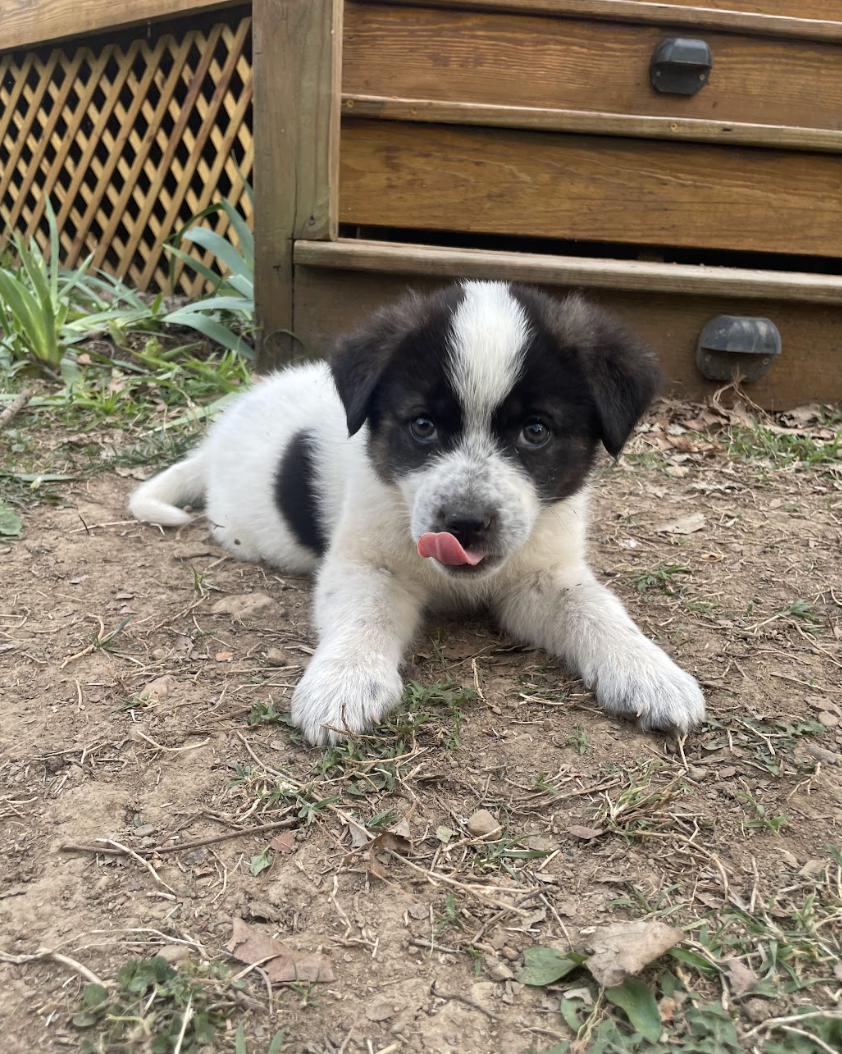 Screenshot 2026-04-13 at 2.36.33 PM.png