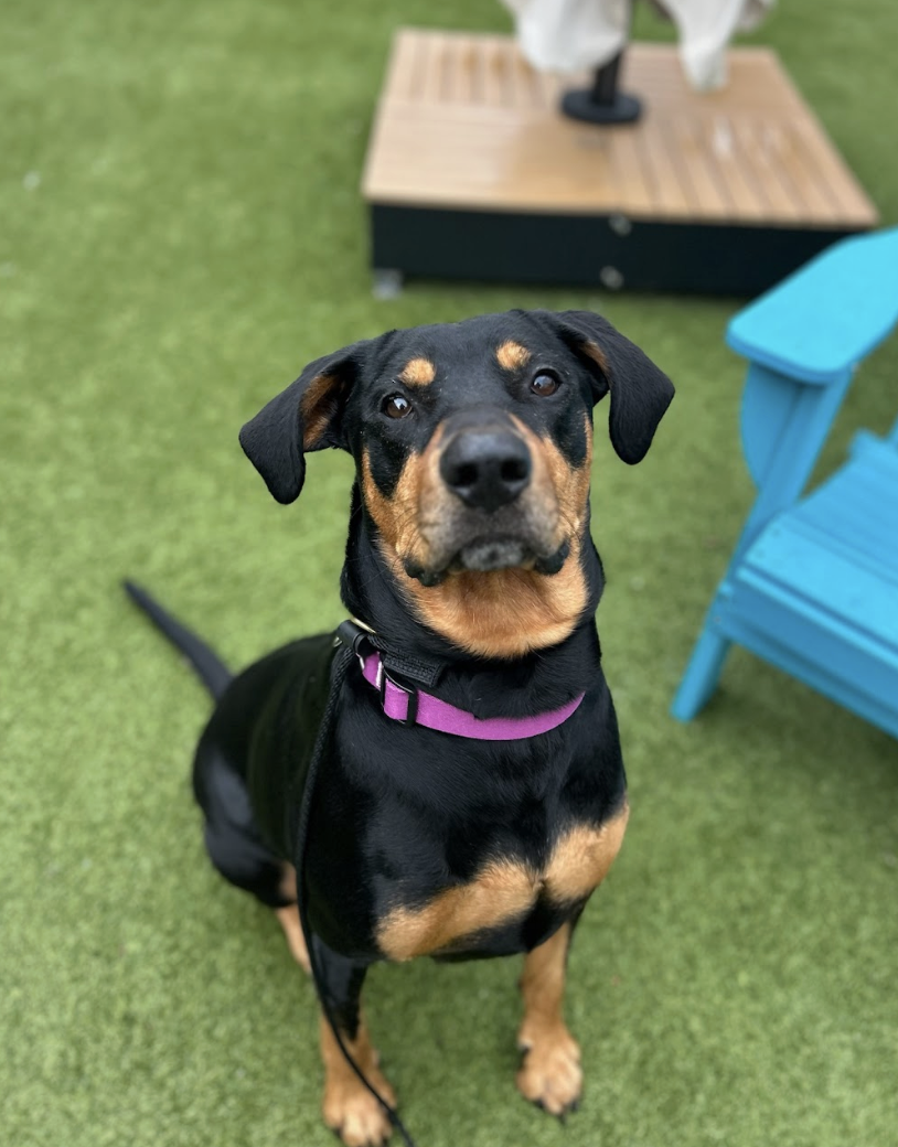 Screenshot 2026-03-11 at 6.37.29 PM.png