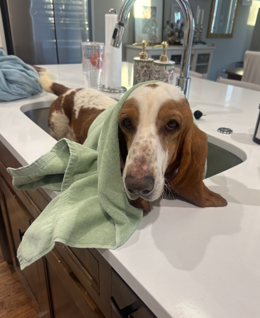 Screenshot 2026-04-13 at 3.22.32 PM.png