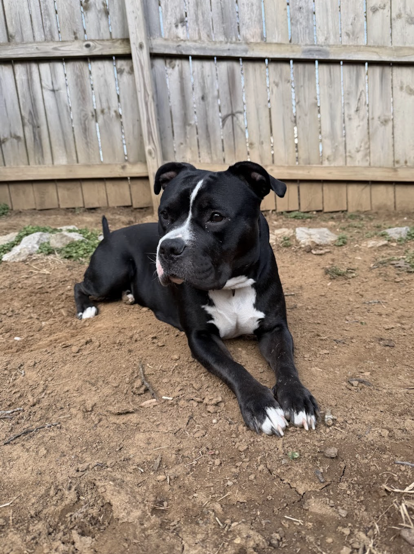 Screenshot 2026-02-26 at 2.21.18 PM.png