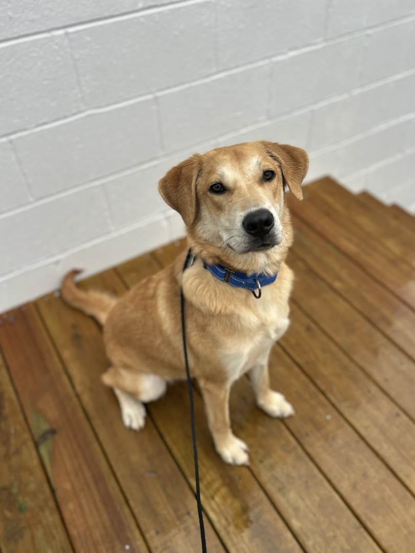 Screenshot 2026-02-19 at 3.51.29 PM.png