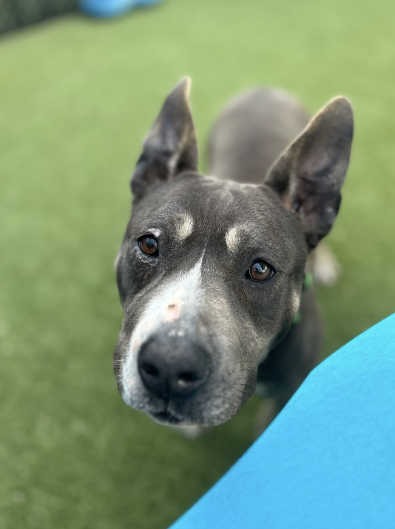 Screenshot 2026-03-26 at 2.16.35 PM.png