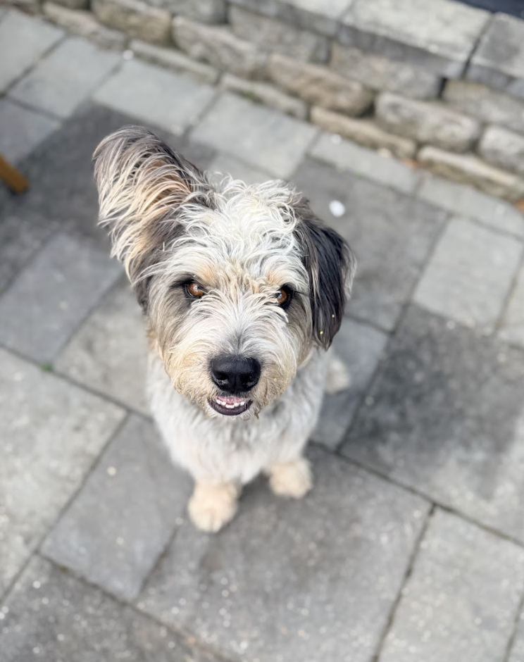 Screenshot 2026-04-08 at 12.40.31 PM.png