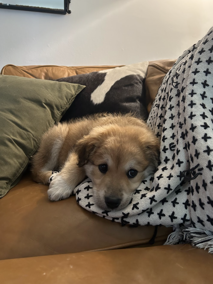 Screenshot 2026-04-23 at 6.46.03 PM.png