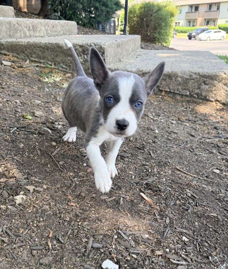 Screenshot 2026-04-23 at 2.15.31 PM.png