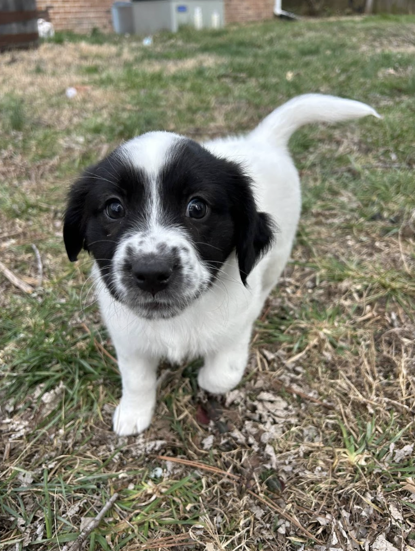 Screenshot 2026-03-10 at 8.51.16 PM.png